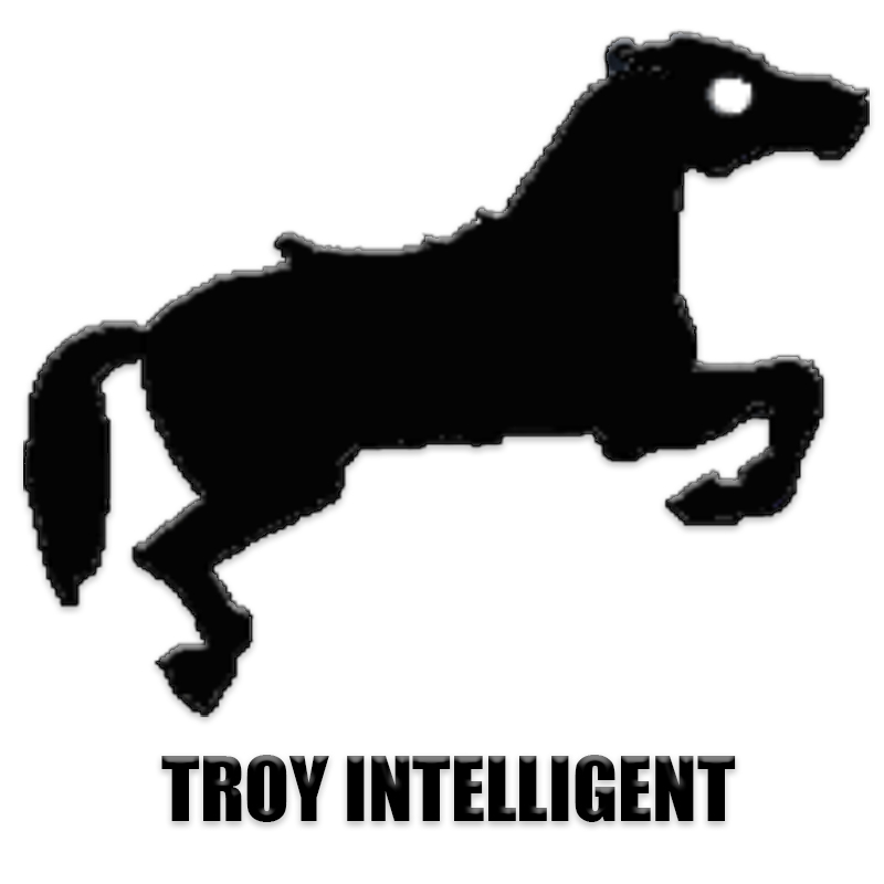 TROY
